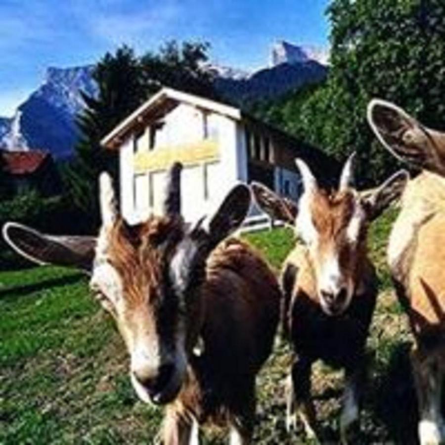 Hotel Restaurant Heidihof ไมเอนเฟลด์ ภายนอก รูปภาพ